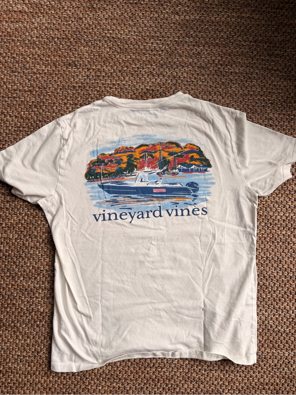 Vineyard Vines Boys Light Blue & Cream Graphic Short Sleeve Tees - Picture 5 of 7